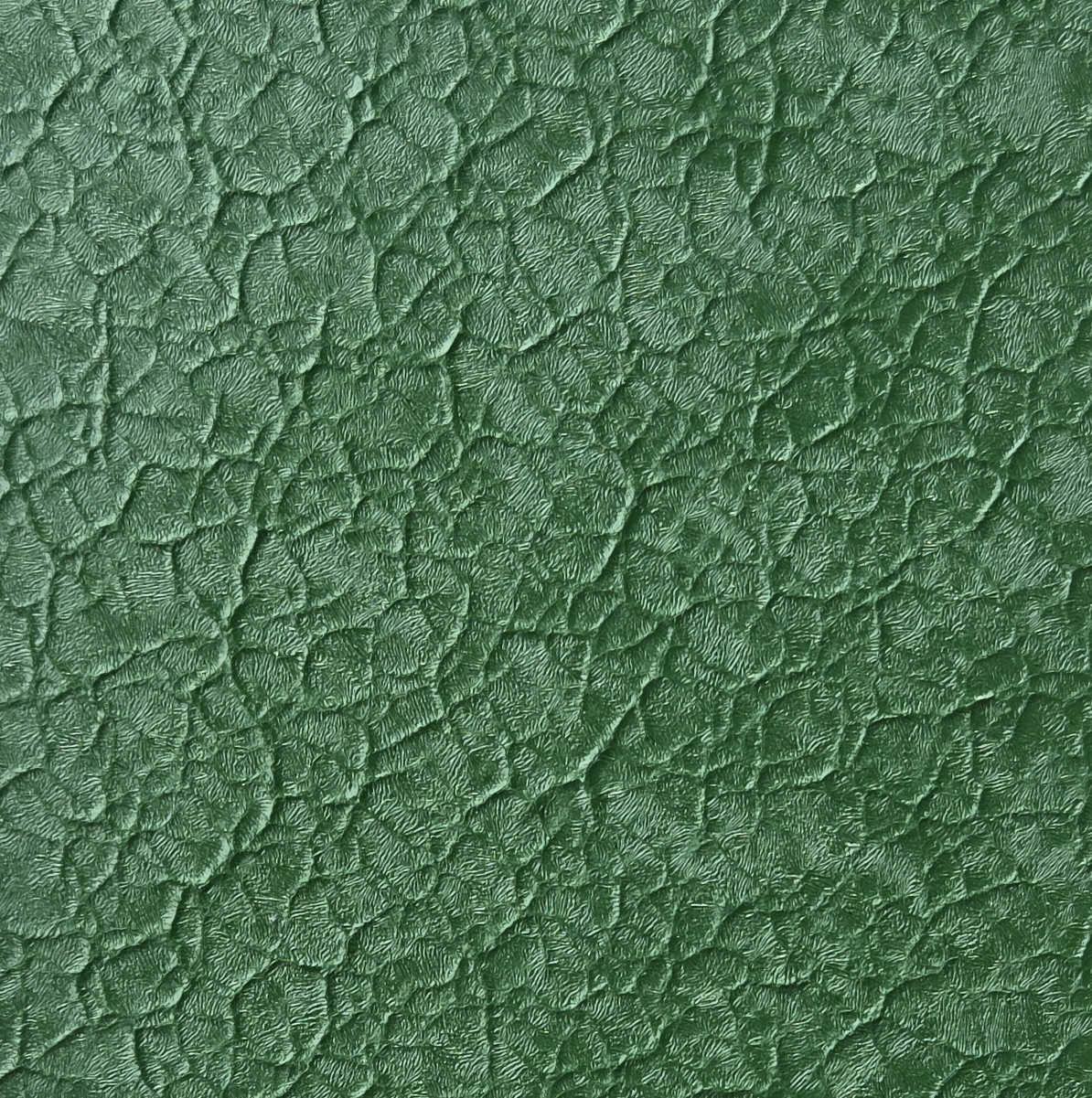 Alligator Green